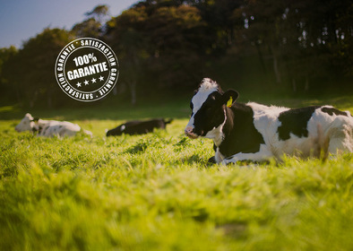 Garanție 100%: siguranță și respect.