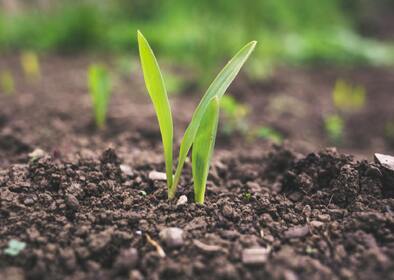 Elaborăm soluții specializate de la caz la caz.